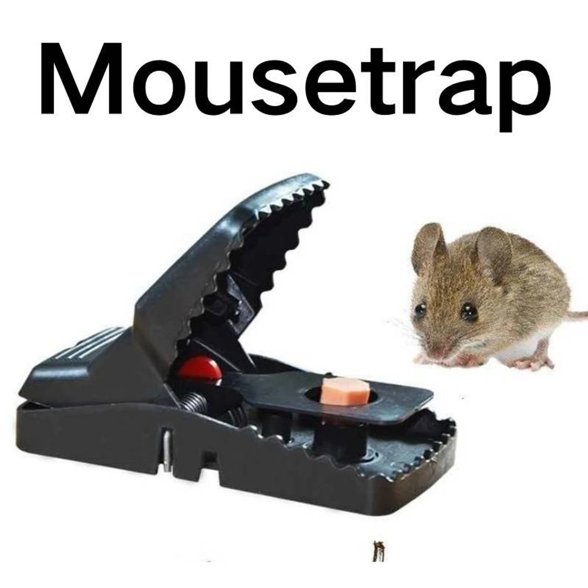 Super Powerful Mouse Trap - Image 4